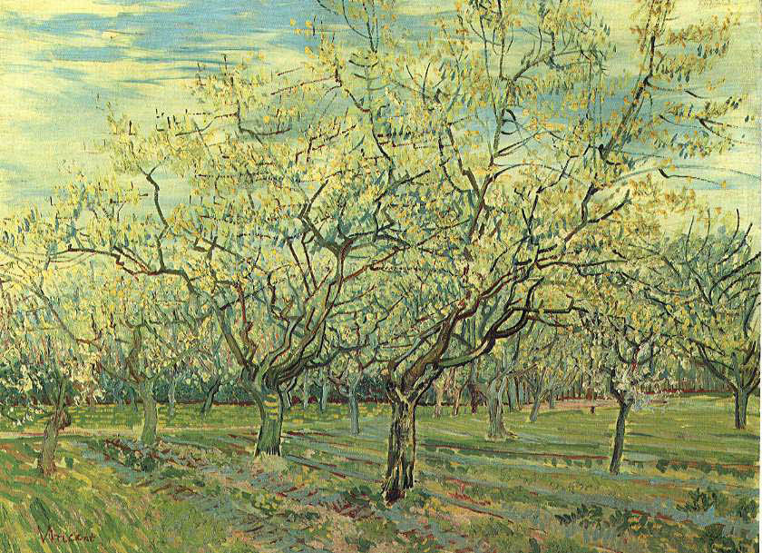 Vincent van Gogh - Orchard with blossoming Plum Trees - 1888 - 60x80 cm