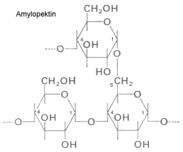 Amylopektin (Struktur)