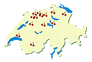 Kirschenanbau in der Schweiz