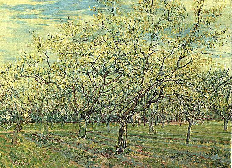 Vincent van Gogh - Orchard with blossoming Plum Trees - 1888 - 60x80 cm