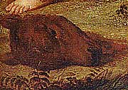 Abgeschlagener Kalbskopf