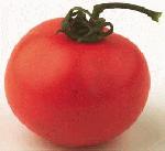 Tomate