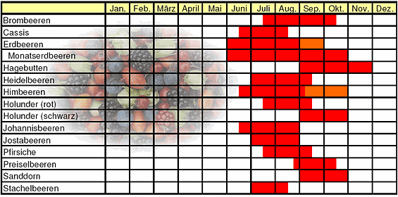 Saisontabelle für Beeren