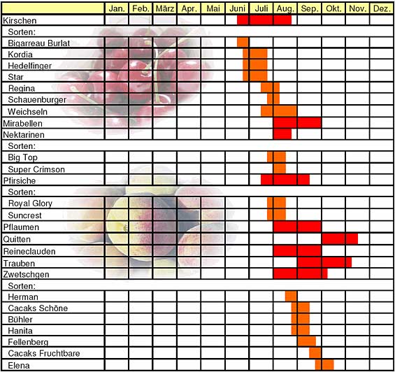 Saisontabelle für Obst