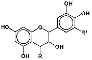 Struktur der Catechine