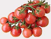 Cherry-Tomaten