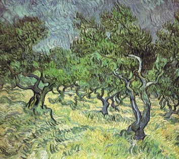 Van Gogh, Olivenhain (1889)