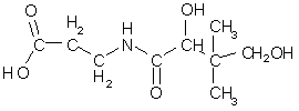 Pantothensäure