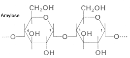Amylose-Struktur