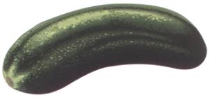 Gewürzgurke