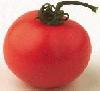 Tomate