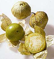 Tomatillo (Grüne Tomate)