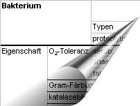 Angaben zu Clostridium perfringens