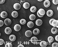 Erythrozyten mit kombiniertem Vitamin E und C-Mangel