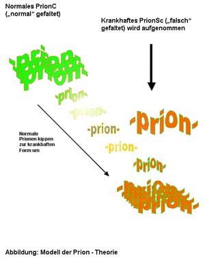 Prion-Hypothese